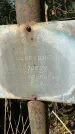 Захоронение ID 3590760