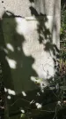 Захоронение ID 3590785