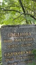 Захоронение ID 3590827
