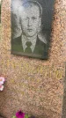 Захоронение ID 3590850