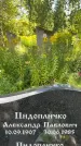 Захоронение ID 3590886