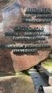 Захоронение ID 3590923