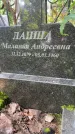 Захоронение ID 3590929
