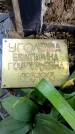 Захоронение ID 3591001