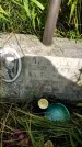 Захоронение ID 3591078