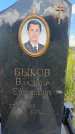 Захоронение ID 3591099