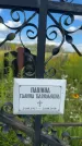 Захоронение ID 3591296