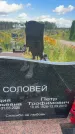 Захоронение ID 3591313