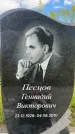 Захоронение ID 3591340