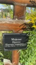 Захоронение ID 3591394