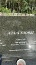 Захоронение ID 3591408