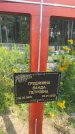 Захоронение ID 3591418