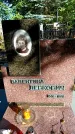 Захоронение ID 3591495