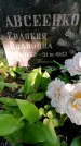 Захоронение ID 3591500