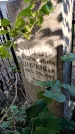 Захоронение ID 3591507