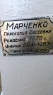 Захоронение ID 3591508