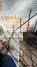 Захоронение ID 3591524