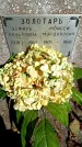 Захоронение ID 3591592