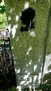 Захоронение ID 3591956