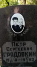 Захоронение ID 3601380