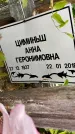 Захоронение ID 3601419