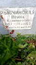 Захоронение ID 3601449