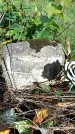 Захоронение ID 3601461