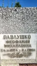 Захоронение ID 3601488