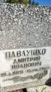 Захоронение ID 3601489