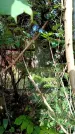 Захоронение ID 3601539