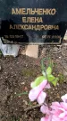 Захоронение ID 3601560