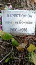 Захоронение ID 3601632
