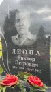 Захоронение ID 3601751