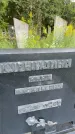 Захоронение ID 3601803