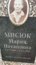 Захоронение ID 3601936