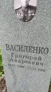 Захоронение ID 3601985