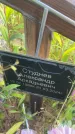 Захоронение ID 3602177