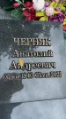 Захоронение ID 3602248