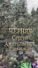 Захоронение ID 3602249