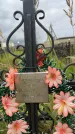 Захоронение ID 3602294