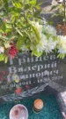 Захоронение ID 3602296