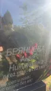 Захоронение ID 3602327