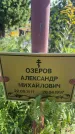 Захоронение ID 3602340
