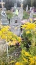 Захоронение ID 3602415