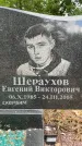 Захоронение ID 3602478