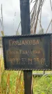 Захоронение ID 3602629