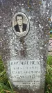 Захоронение ID 3602687