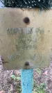 Захоронение ID 3602782