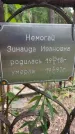 Захоронение ID 3602784