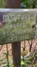 Захоронение ID 3602786